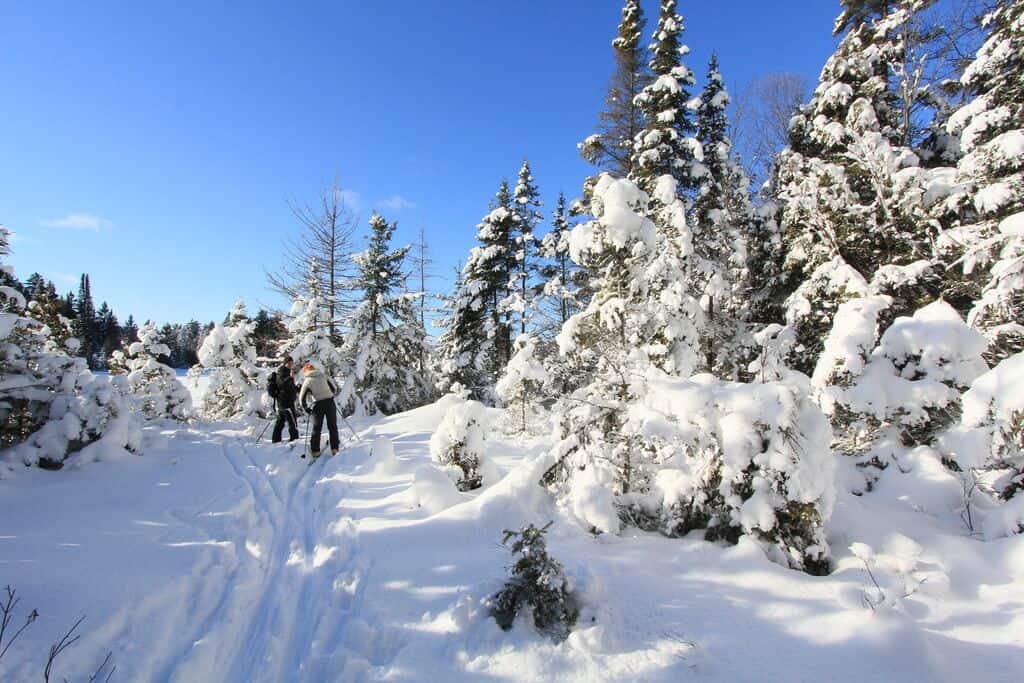 Backcountry Skiing Algonquin Voyageur Quest