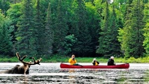 Algonquin Park Canoe and Lodge