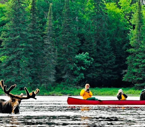 Voyageur Quest Algonquin Park canoe trips