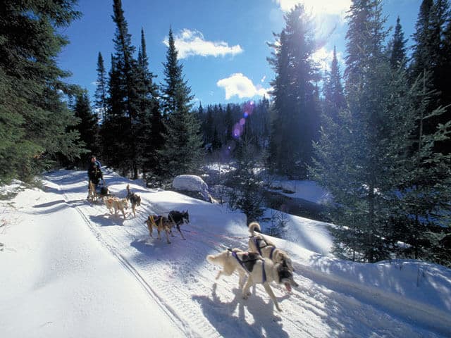 Algonquin Dogsled, Ski and Snowshoe