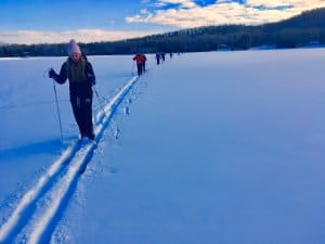 Algonquin Family Day Weekend