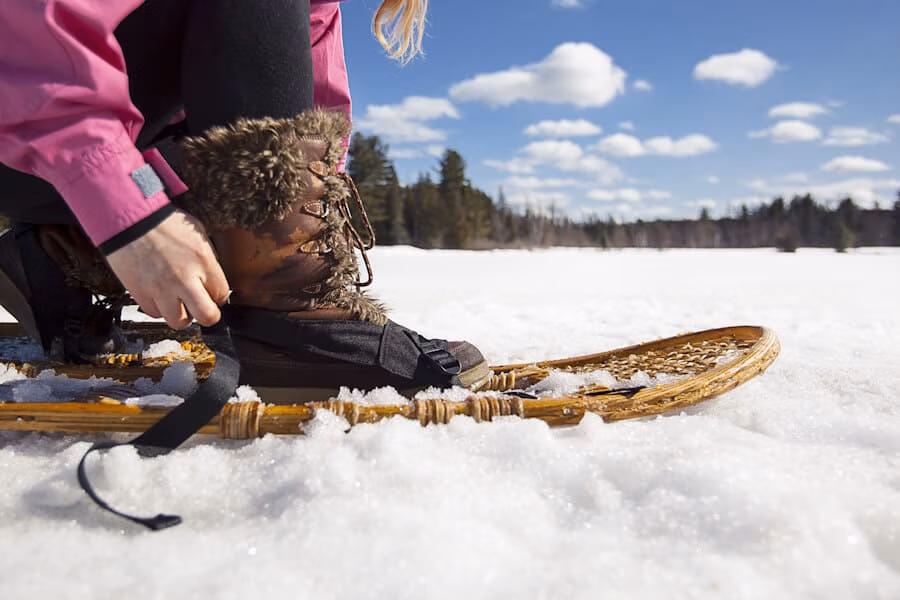 Algonquin Snowshoe