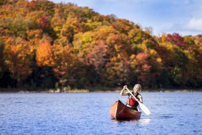 Canoeing in Algonquin Fall colours