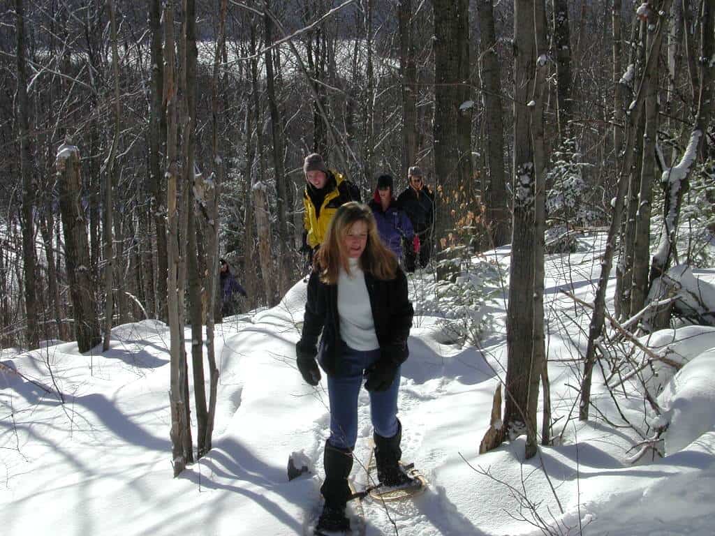 Algonquin Snowshoe and Chalet