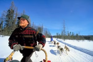 Algonquin Winter Eco Adventure