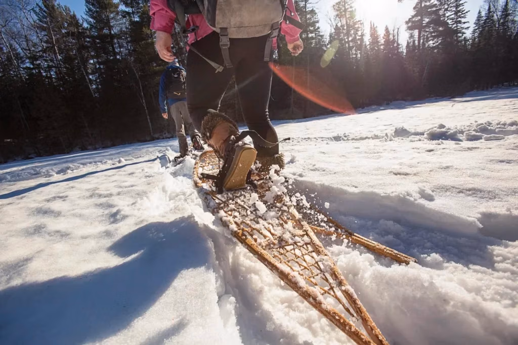 Snowshoe Duke of Edinburgh