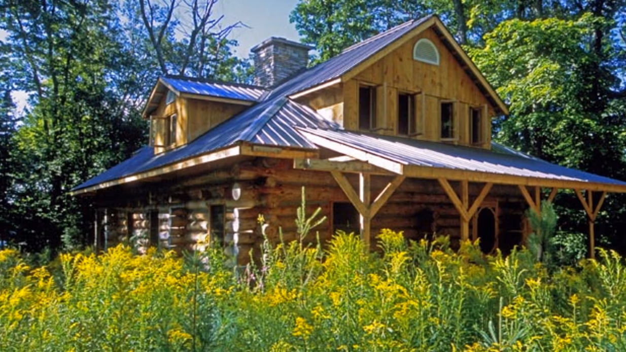 The Algonquin Log Cabin in summer, surrounded by tall goldenrod